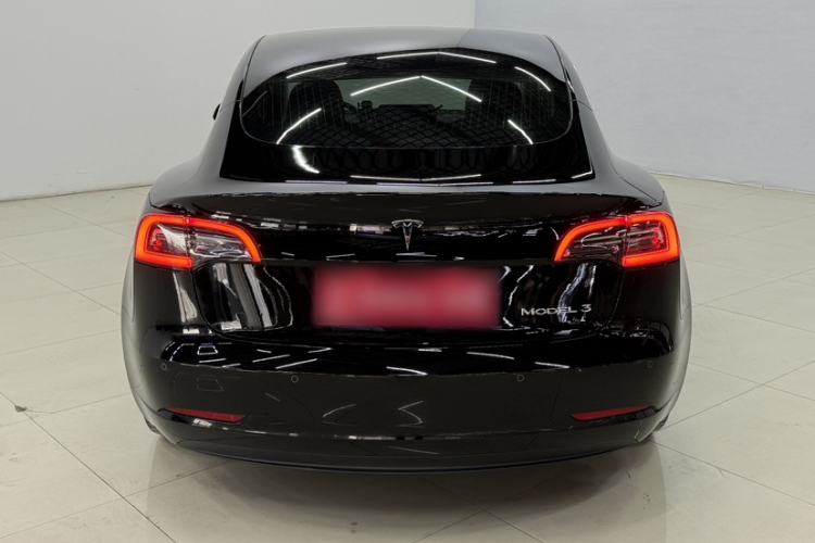 Used Tesla Model 3 2020 Standard Range Rear-Wheel Drive Upgraded Version Exterior 9
