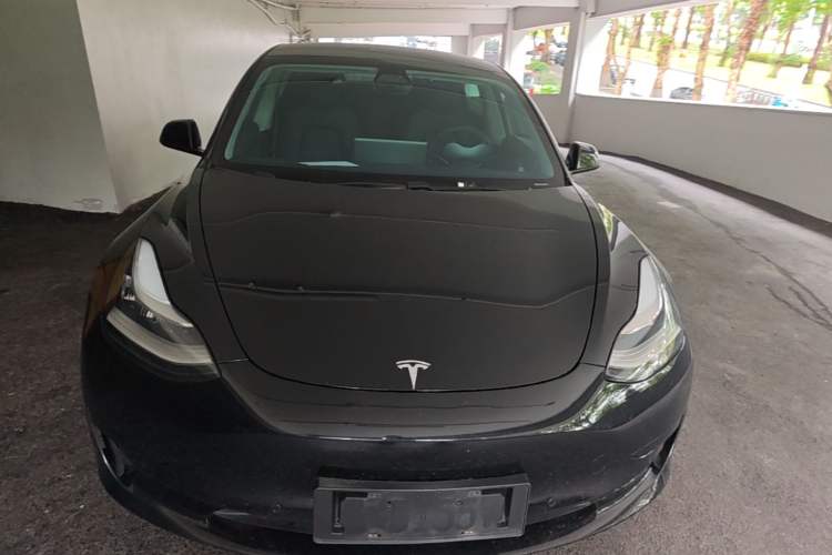 Used Tesla Model 3 2020 Standard Range Rear-Wheel Drive Upgraded Version Front