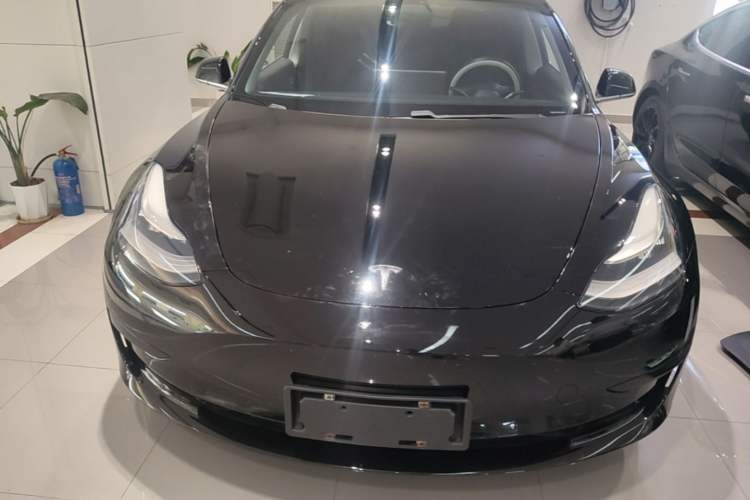 Used Tesla Model 3 2020 Standard Range Rear-Wheel Drive Upgraded Version Front