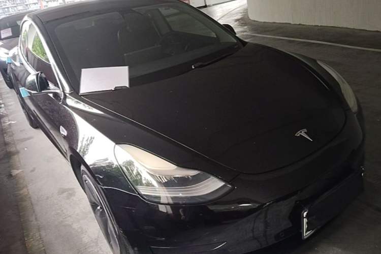 Used Tesla Model 3 2020 Standard Range Rear-Wheel Drive Upgraded Version Front Right 45 Deg