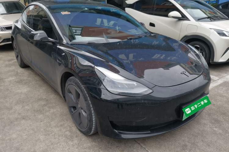 Used Tesla Model 3 2020 Standard Range Rear-Wheel Drive Upgraded Version Front Right 45 Deg
