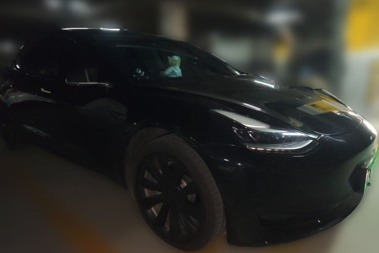 Used Tesla Model 3 2020 Standard Range Rear-Wheel Drive Upgraded Version Front Right 45 Deg