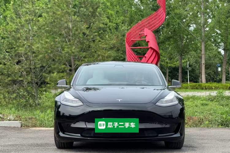 Used Tesla Model 3 2020 Standard Range Rear-Wheel Drive Upgraded Version Front