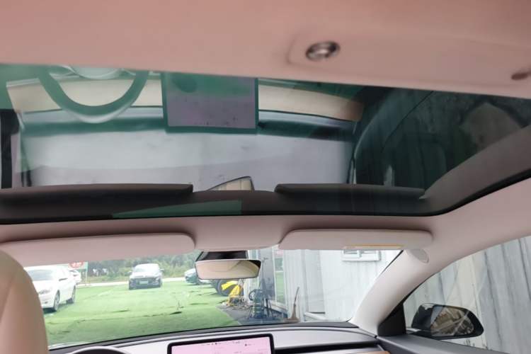 Used Tesla Model 3 2020 Standard Range Rear-Wheel Drive Upgraded Version Headliner
