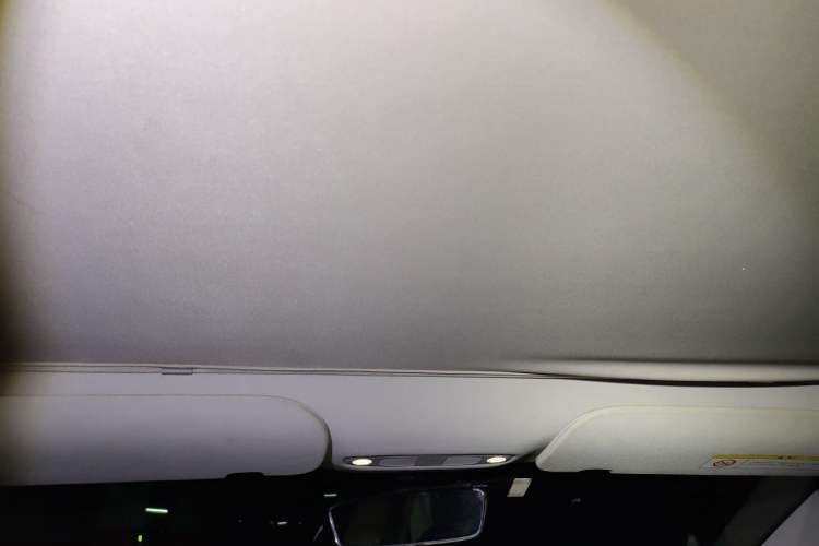 Used Tesla Model 3 2020 Revised Version Standard Range Rear-Wheel Drive – Upgraded Edition Headliner