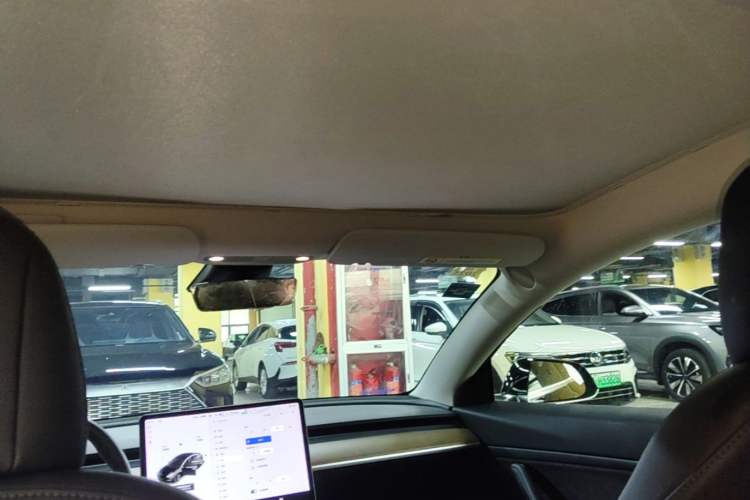 Used Tesla Model 3 2020 Revised Version Standard Range Rear-Wheel Drive – Upgraded Edition Headliner