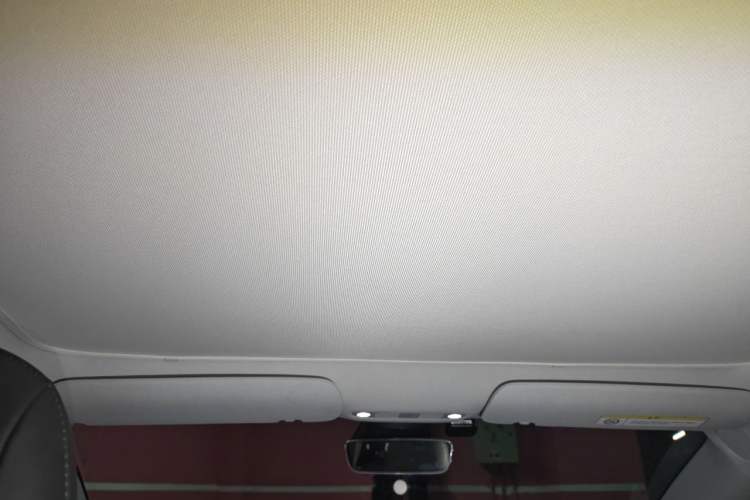 Used Tesla Model 3 2020 Standard Range Rear-Wheel Drive Upgraded Version Headliner