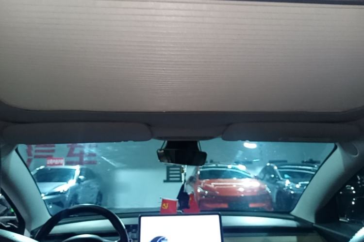 Used Tesla Model 3 2020 Refreshed Version Long-Range Rear-Wheel Drive Headliner