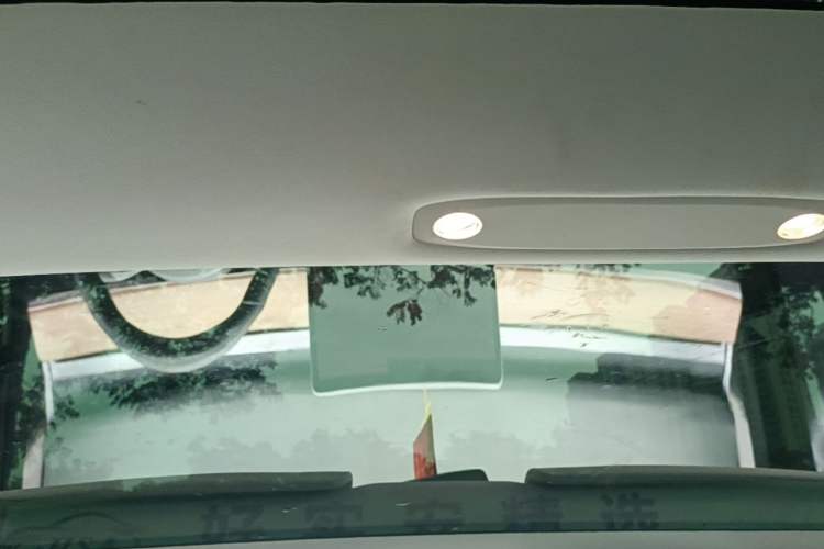 Used Tesla Model 3 2020 Standard Range Rear-Wheel Drive Upgraded Version Headliner