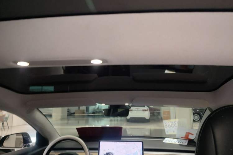 Used Tesla Model 3 2020 Standard Range Rear-Wheel Drive Upgraded Version Headliner
