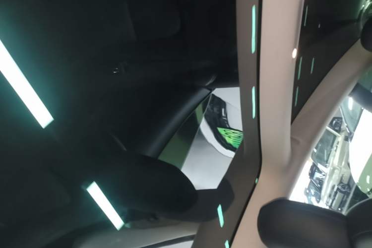 Used Tesla Model 3 2020 Long-Range Rear-Wheel-Drive Version Headliner