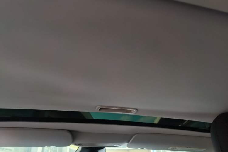Used Tesla Model 3 2020 Revised Version Standard Range Rear-Wheel Drive – Upgraded Edition Headliner