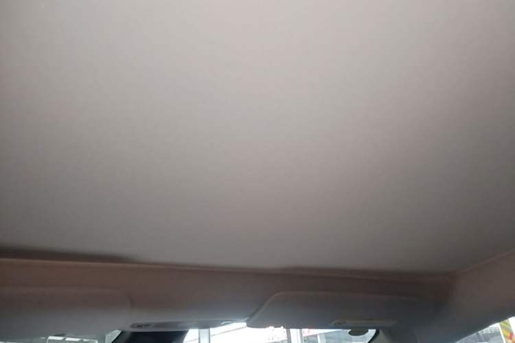 Used Tesla Model 3 2020 Revised Version Standard Range Rear-Wheel Drive – Upgraded Edition Headliner