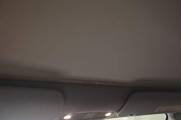 Used Tesla Model 3 2020 Refreshed Version Long-Range Rear-Wheel Drive Headliner