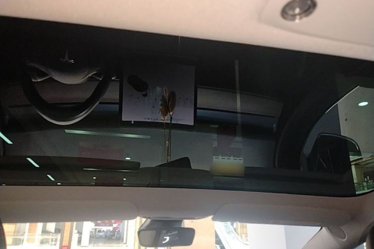 Used Tesla Model 3 2020 Revised Version Standard Range Rear-Wheel Drive – Upgraded Edition Headliner