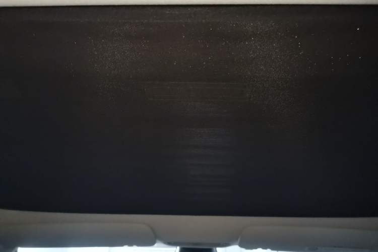 Used Tesla Model 3 2020 Revised Version Standard Range Rear-Wheel Drive – Upgraded Edition Headliner