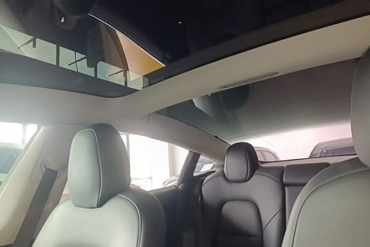 Used Tesla Model 3 2020 Standard Range Rear-Wheel Drive Upgraded Version Headliner