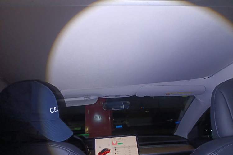 Used Tesla Model 3 2020 Standard Range Rear-Wheel Drive Upgraded Version Headliner