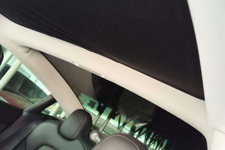 Used Tesla Model 3 2020 Long-Range Rear-Wheel-Drive Version Headliner