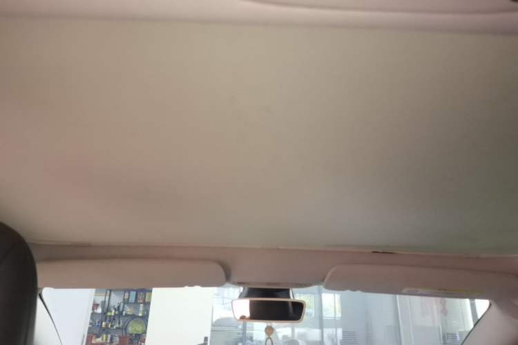 Used Tesla Model 3 2020 Standard Range Rear-Wheel Drive Upgraded Version Headliner
