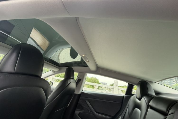 Used Tesla Model 3 2020 Revised Version Standard Range Rear-Wheel Drive – Upgraded Edition Headliner