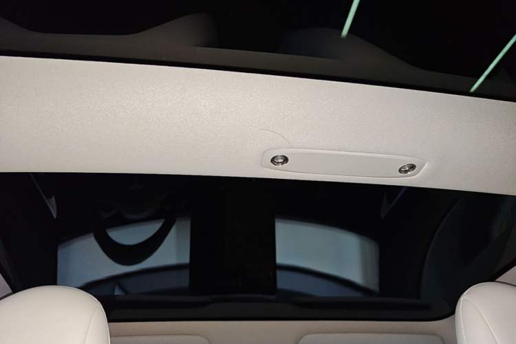 Used Tesla Model 3 2020 Revised Version Standard Range Rear-Wheel Drive – Upgraded Edition Headliner
