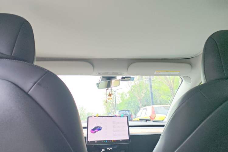 Used Tesla Model 3 2020 Refreshed Version Long-Range Rear-Wheel Drive Headliner