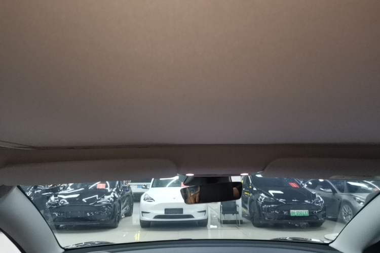 Used Tesla Model 3 2020 Long-Range Rear-Wheel-Drive Version Headliner