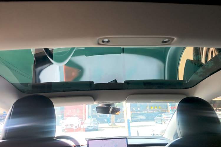 Used Tesla Model 3 2020 Long-Range Rear-Wheel-Drive Version Headliner