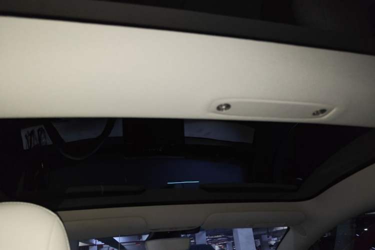 Used Tesla Model 3 2020 Standard Range Rear-Wheel Drive Upgraded Version Headliner