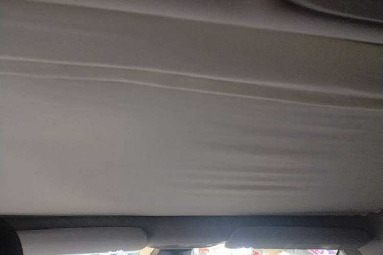 Used Tesla Model 3 2020 Refreshed Version Long-Range Rear-Wheel Drive Headliner