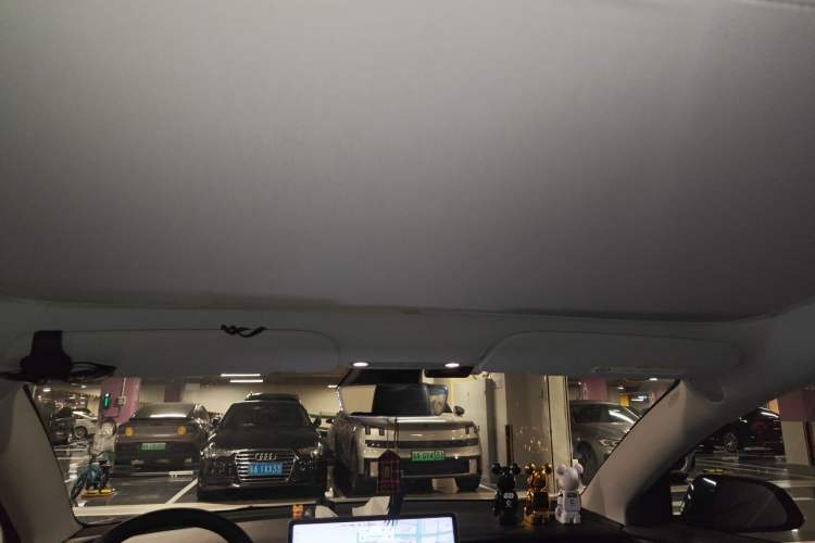Used Tesla Model 3 2020 Revised Version Standard Range Rear-Wheel Drive – Upgraded Edition Headliner