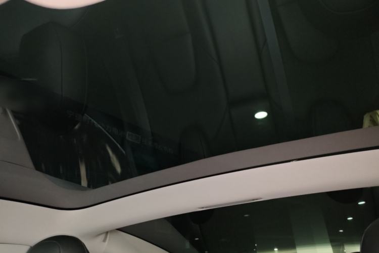 Used Tesla Model 3 2020 Refreshed Version Long-Range Rear-Wheel Drive Headliner