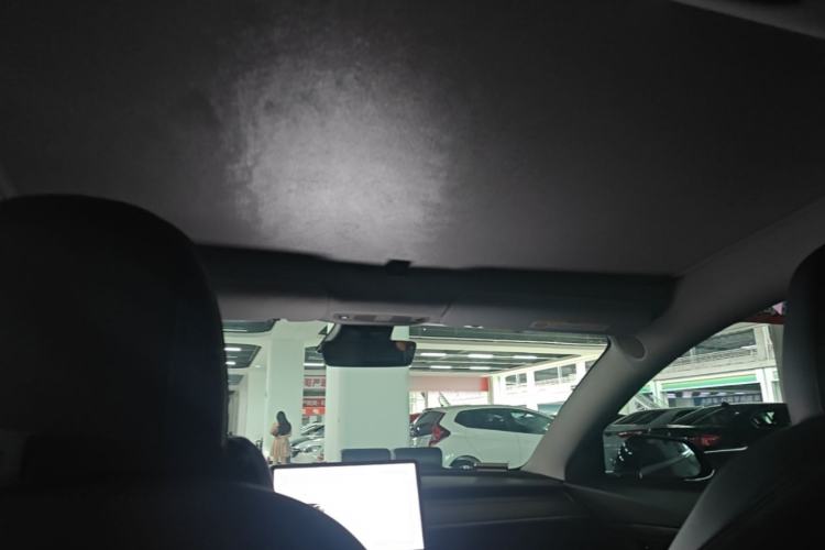 Used Tesla Model 3 2020 Standard Range Rear-Wheel Drive Upgraded Version Headliner