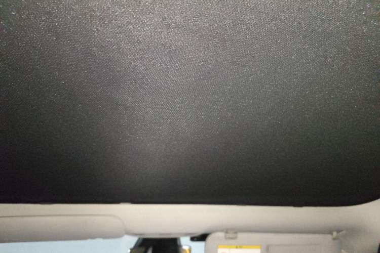 Used Tesla Model 3 2020 Revised Version Standard Range Rear-Wheel Drive – Upgraded Edition Headliner