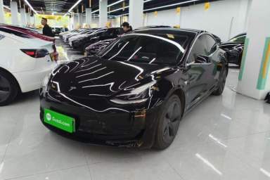 Used Tesla Model 3 2020 Standard Range Rear-Wheel Drive Upgraded Version