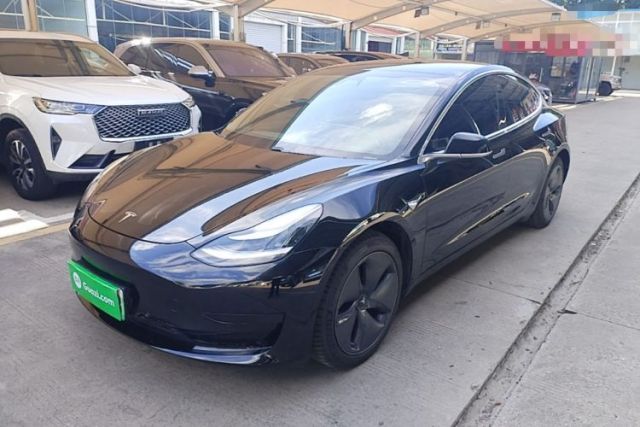Tesla Model 3 2020 Standard Range Rear-Wheel Drive Upgraded Version de segunda mano
