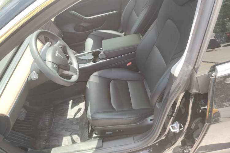 Used Tesla Model 3 2020 Standard Range Rear-Wheel Drive Upgraded Version Left Front Seat
