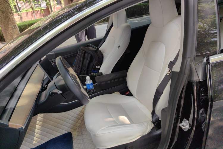 Used Tesla Model 3 2020 Standard Range Rear-Wheel Drive Upgraded Version Left Front Seat