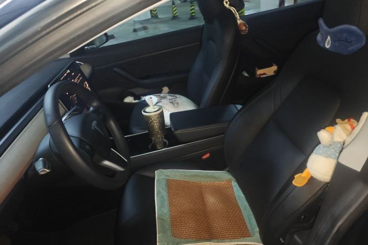 Used Tesla Model 3 2020 Standard Range Rear-Wheel Drive Upgraded Version Left Front Seat