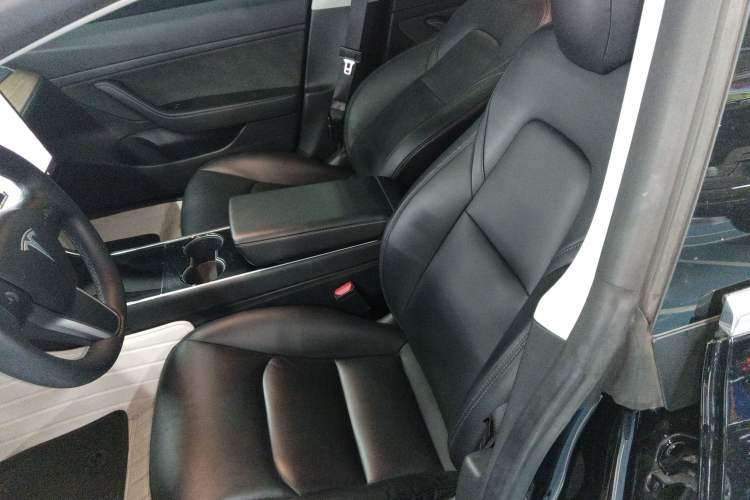 Used Tesla Model 3 2020 Standard Range Rear-Wheel Drive Upgraded Version Left Front Seat