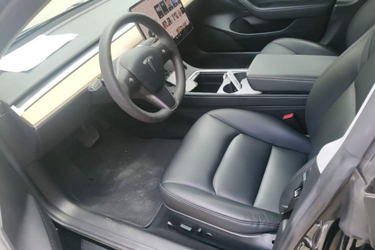 Used Tesla Model 3 2020 Standard Range Rear-Wheel Drive Upgraded Version Left Front Seat