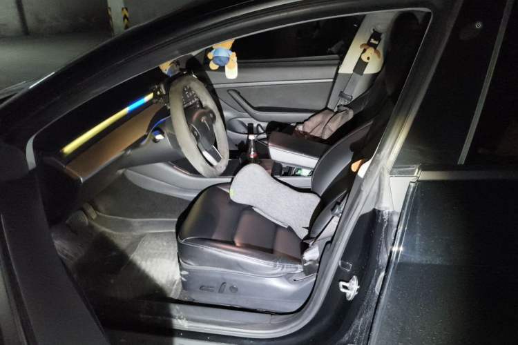 Used Tesla Model 3 2020 Long-Range Rear-Wheel-Drive Version Left Front Seat