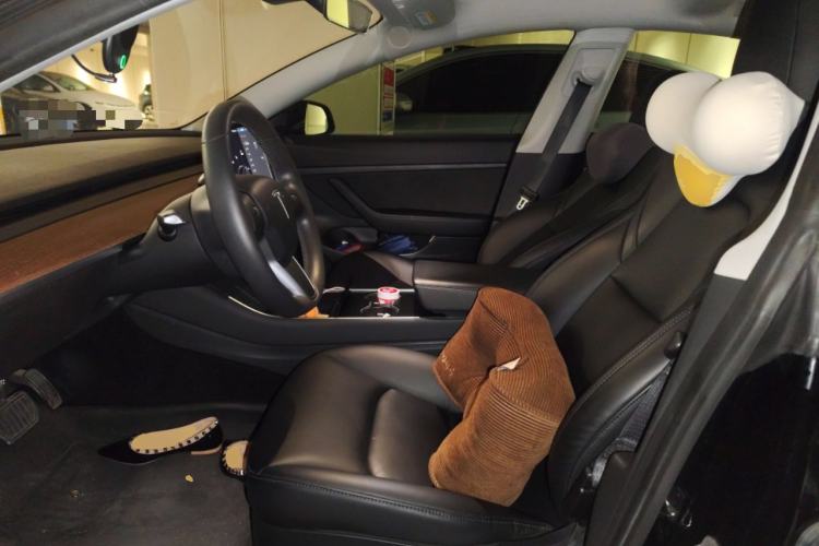 Used Tesla Model 3 2020 Standard Range Rear-Wheel Drive Upgraded Version Left Front Seat