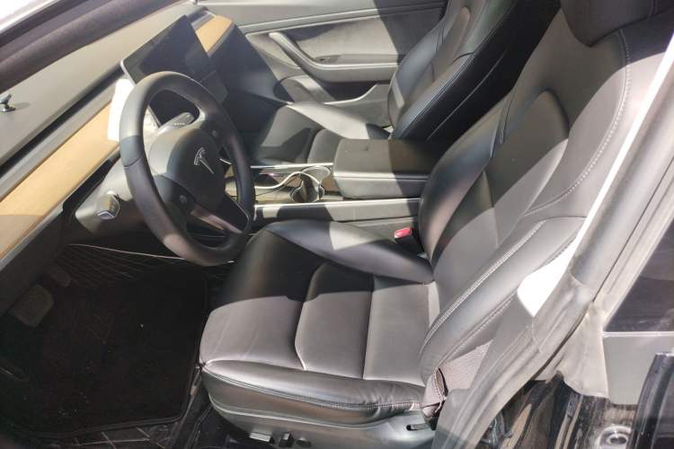 Used Tesla Model 3 2020 Standard Range Rear-Wheel Drive Upgraded Version Left Front Seat