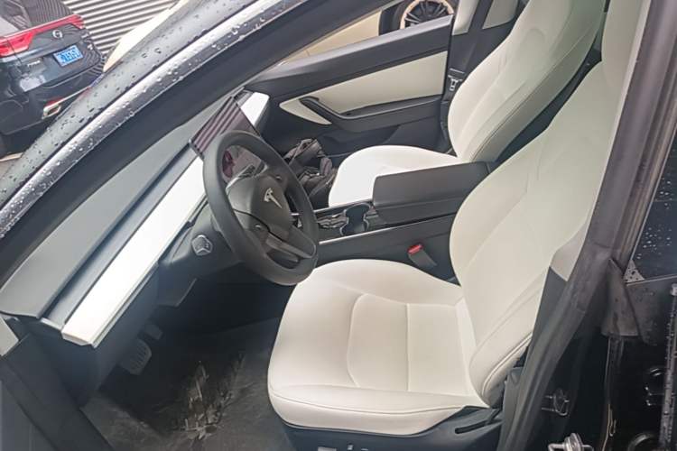 Used Tesla Model 3 2020 Standard Range Rear-Wheel Drive Upgraded Version Left Front Seat