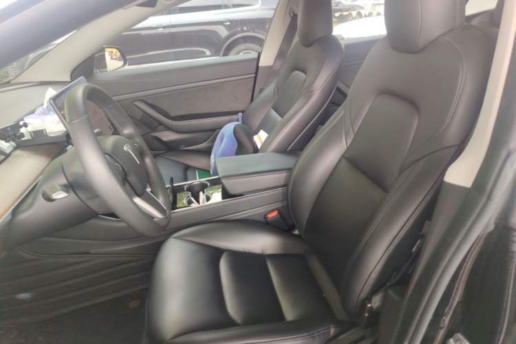 Used Tesla Model 3 2020 Standard Range Rear-Wheel Drive Upgraded Version Left Front Seat
