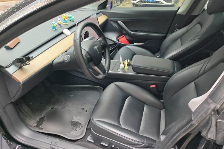 Used Tesla Model 3 2020 Standard Range Rear-Wheel Drive Upgraded Version Left Front Seat