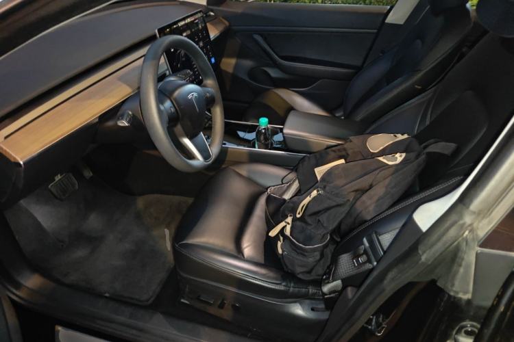 Used Tesla Model 3 2020 Long-Range Rear-Wheel-Drive Version Left Front Seat