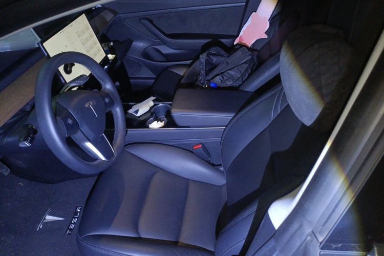 Used Tesla Model 3 2020 Revised Version Standard Range Rear-Wheel Drive – Upgraded Edition Left Front Seat